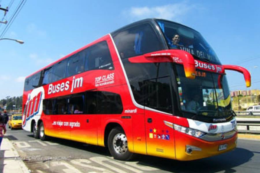 Buses JM