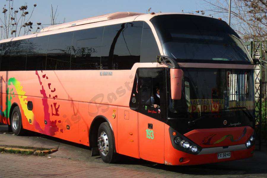 Buses Navidad