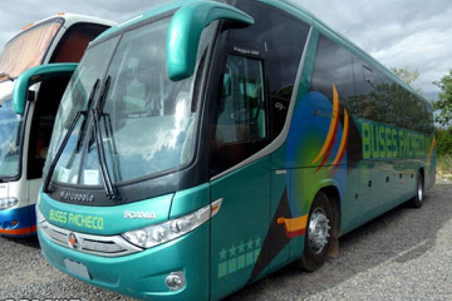 Buses Pacheco